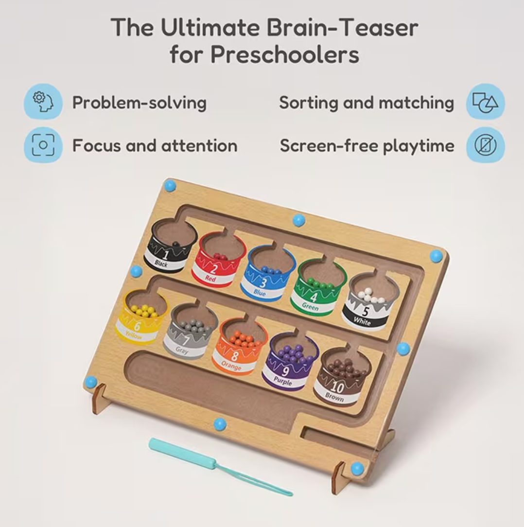 Montessori Magnetic Learning Maze