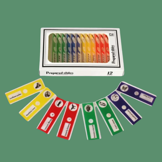 Micro-World Samples 12 pcs