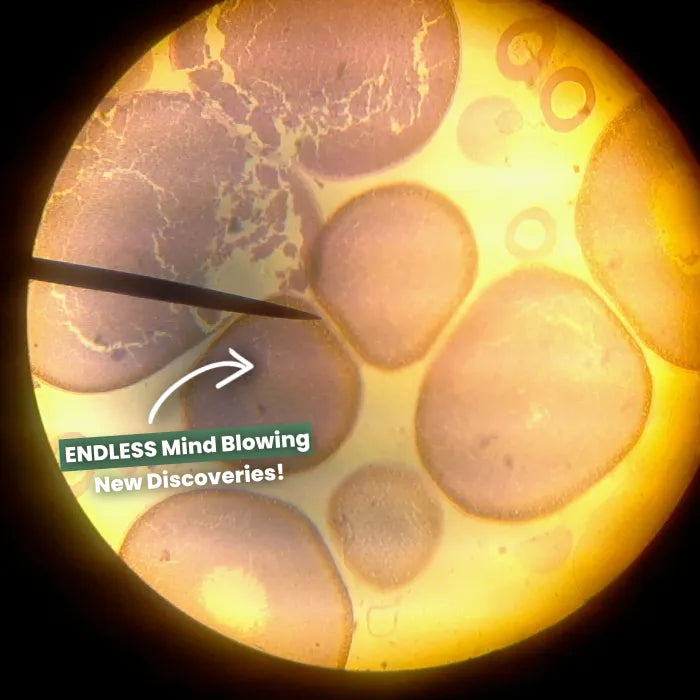 Miniscope™ - Digital Microscope